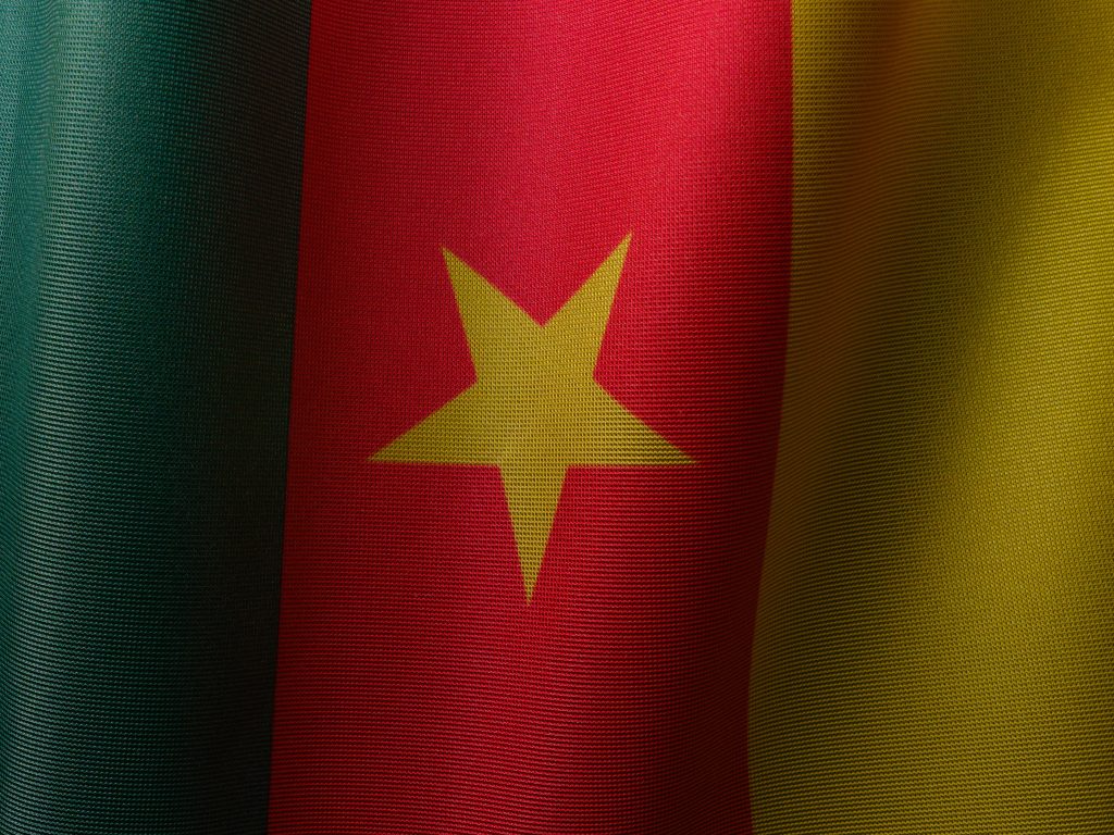 The national flag of Cameroon
