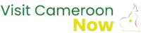 a black background with green and yellow text
