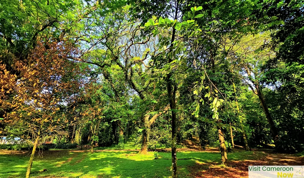 Botanic-Garden 2 Botanic Garden 2