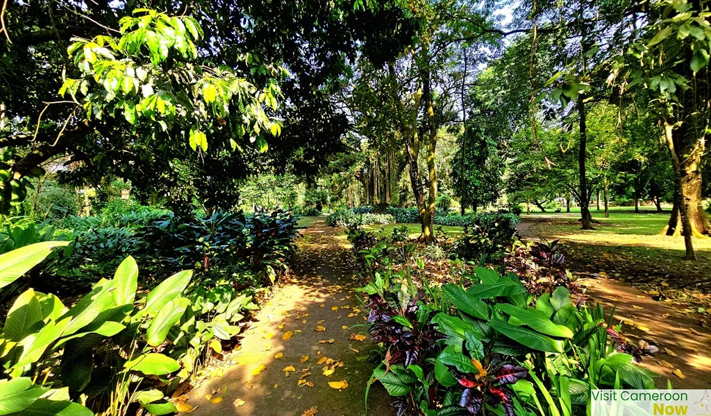 Botanic-Garden 3 Botanic Garden 3