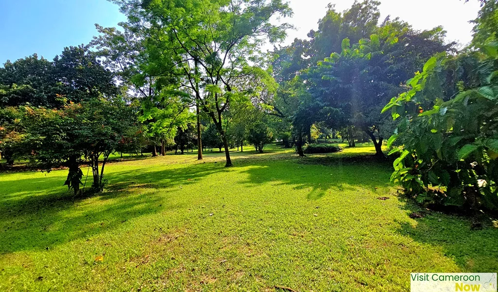Botanic-Garden 5 Botanic Garden 5