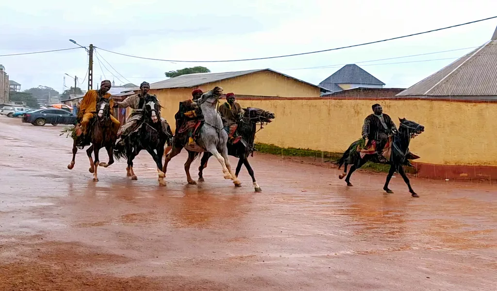 Lamidat Ngzoundere 4