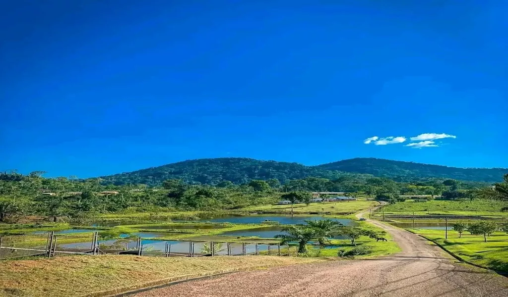 Nkolandom 2 Nkolandom 2