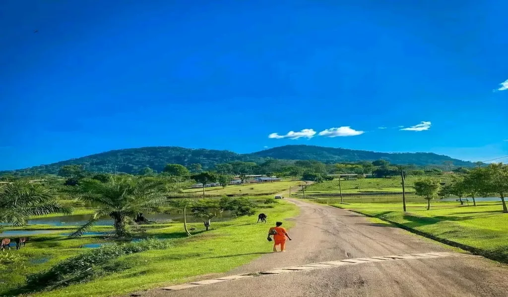 Nkolandom 4 Nkolandom 4